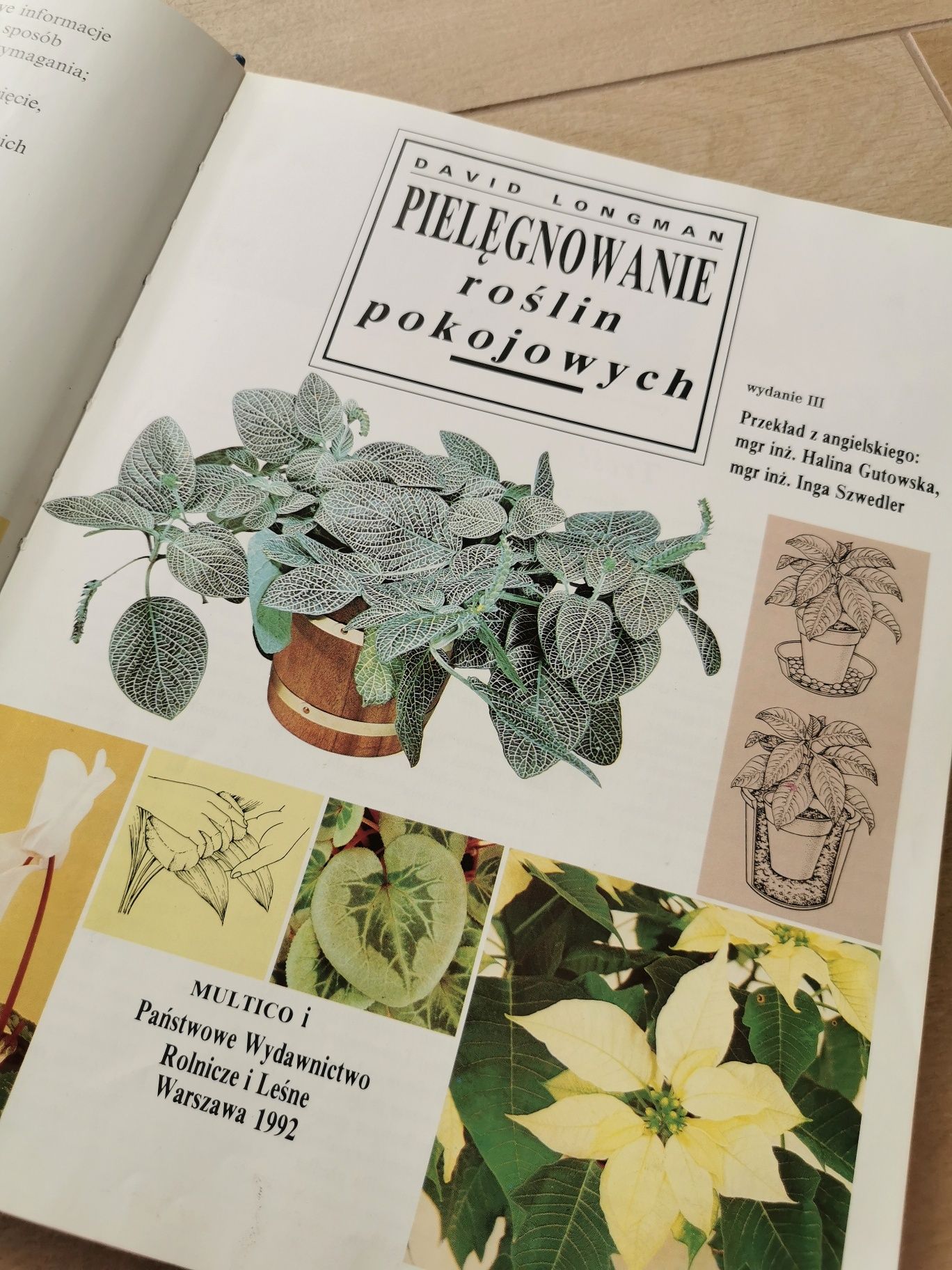 Książka pielęgnowanie roślin pokojowych, botanika, kwiaty, ogrodnictwo