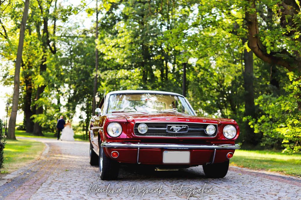 Auto/ Samochód/Klasyk do ślubu.  Ford Mustang 1966r.