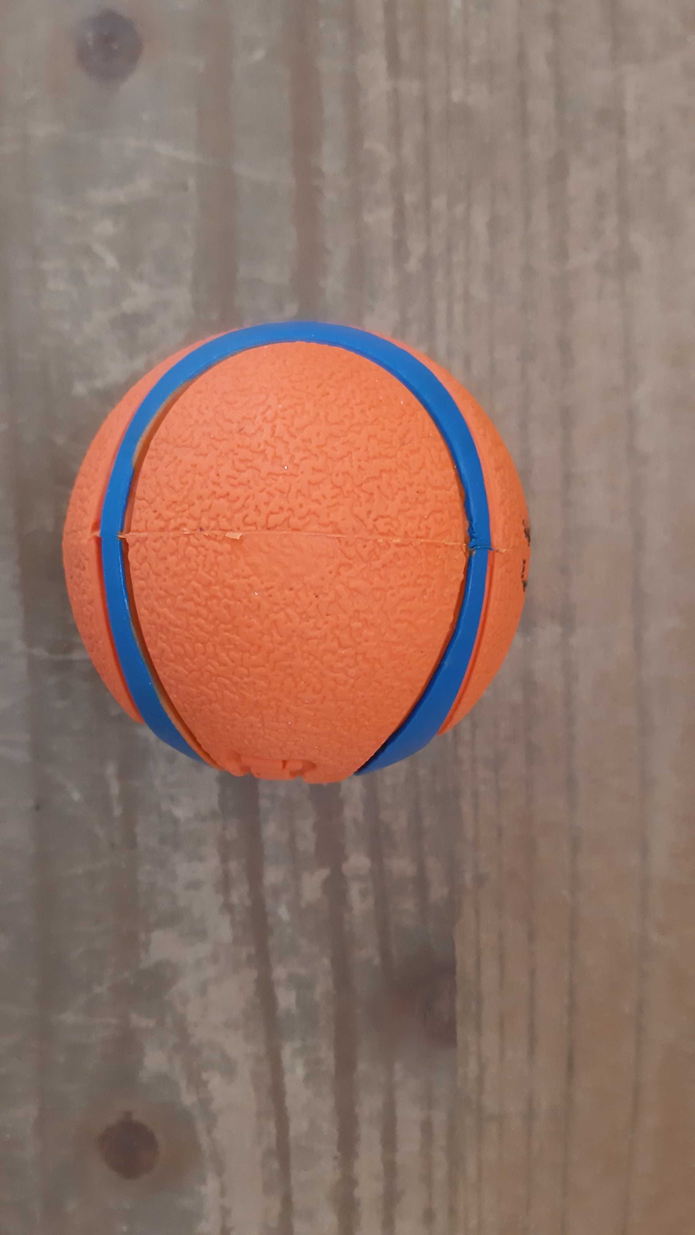 Piłka dla psa Chuckit, Ultra Ball rozmiar M