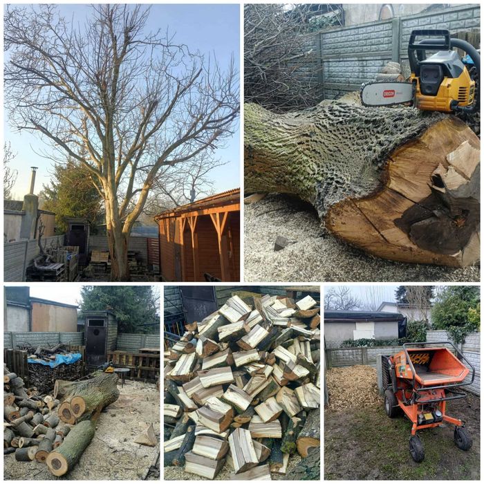 Usługi ogrodnicze wycinki rębak karczowanie koszenie arborysta projekt