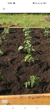 Ogrodowa ziemia kompost podłoże do roślin Promocja 11,99zl 60l