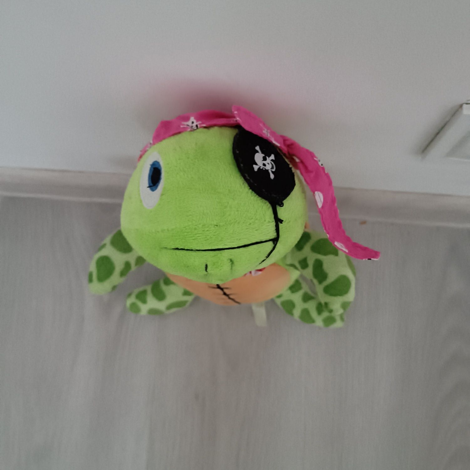 Żółwik pirat  maskotka