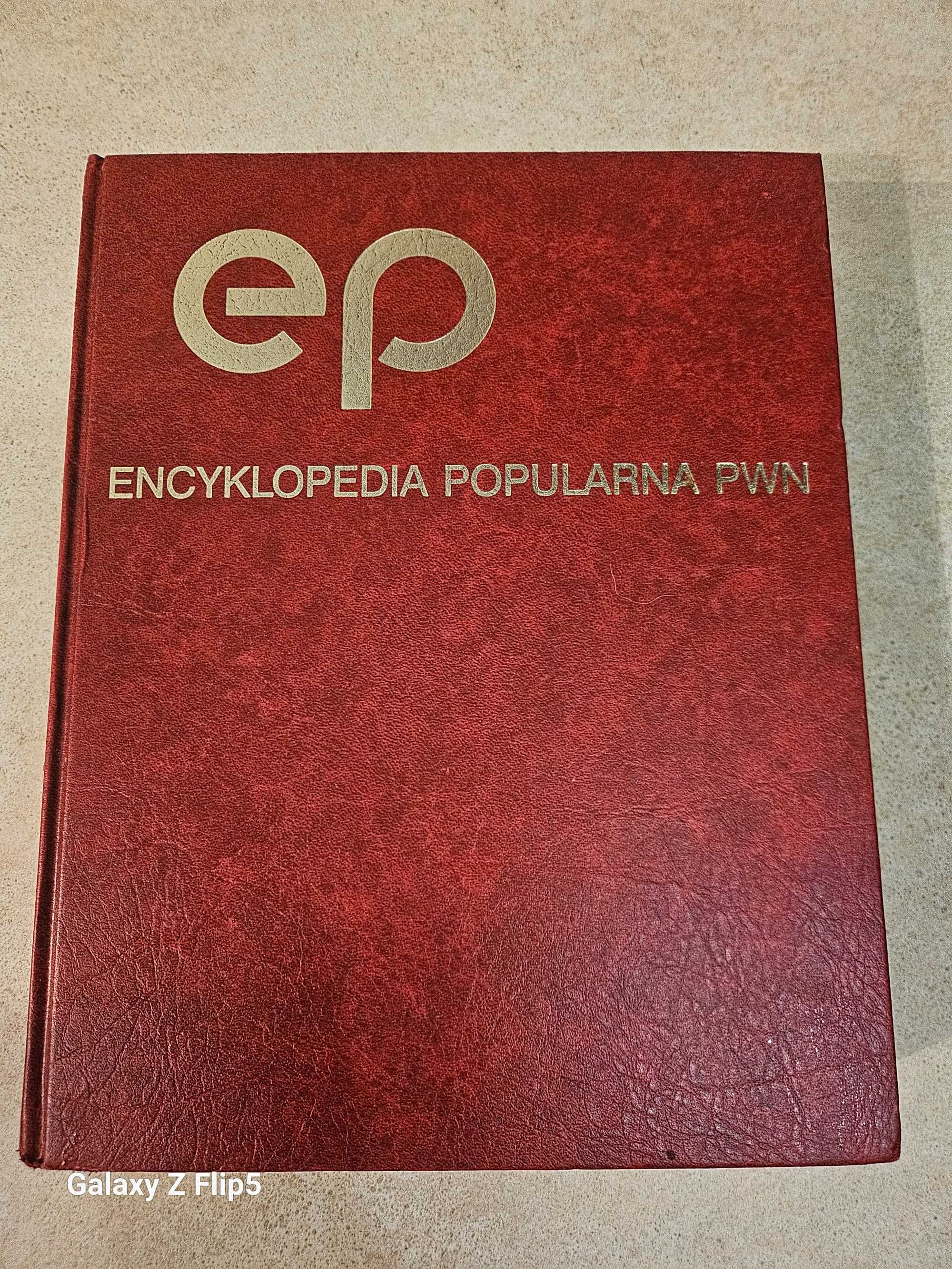 Encyklopedia Popularna PWN