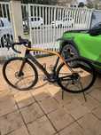 Bicicleta Trek Domaine