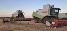 Продам комбайн Lexion 570