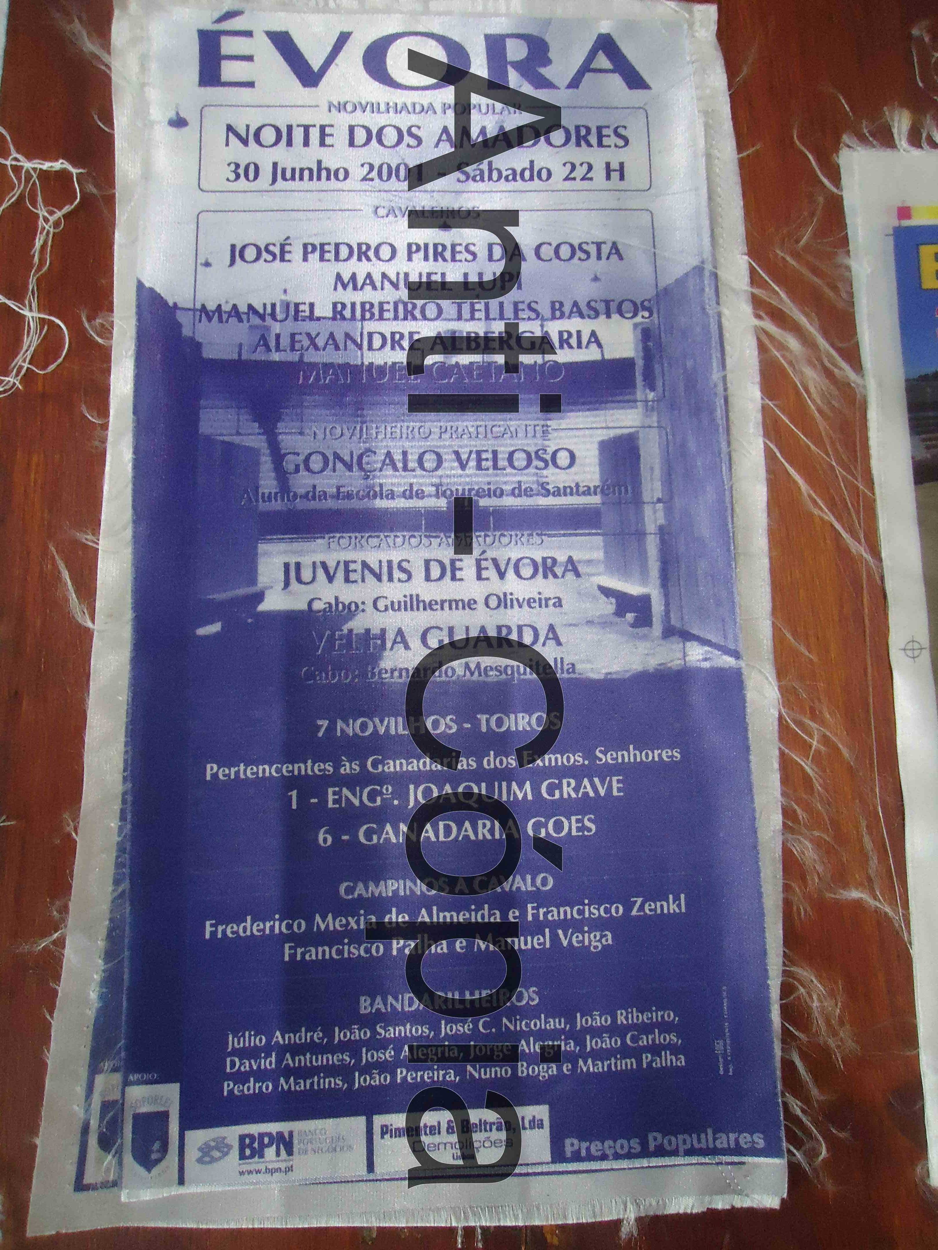 Toiros - Programas em Seda 3