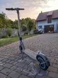 Motus scooty 10 2022