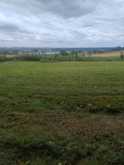 Działka Markowice przy lesie Obora