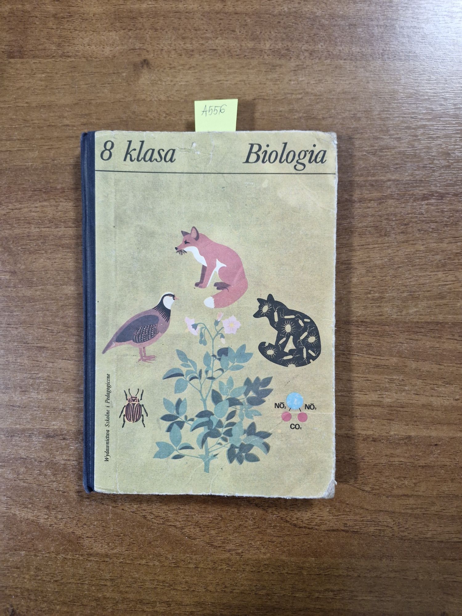 A556. "Biologia 8" Kazimierz Stępczak