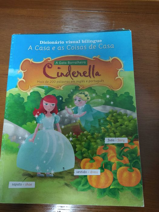 Dicionario Visual Biling