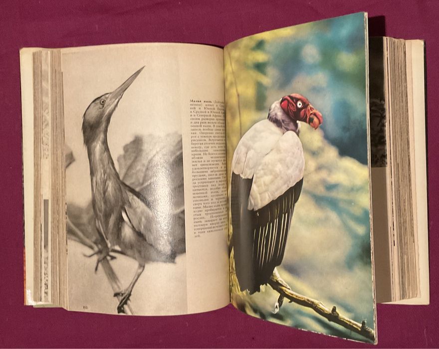 Книги о животных