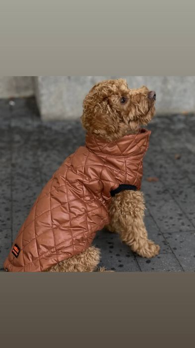 Жилет зимний для собак