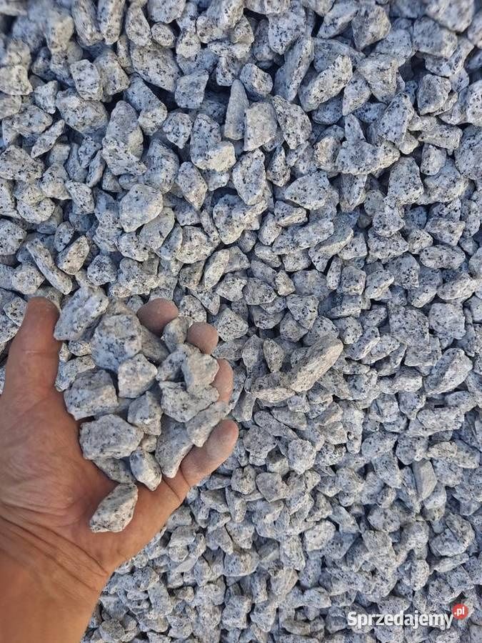 Grys granitowy dalmatyńczyk 16-22