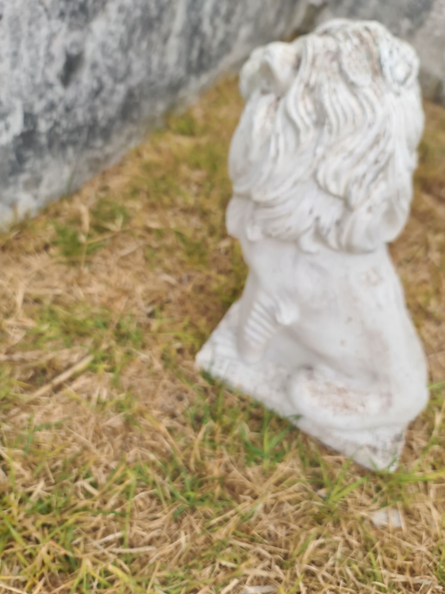 Leões em cimento para muro ou jardim