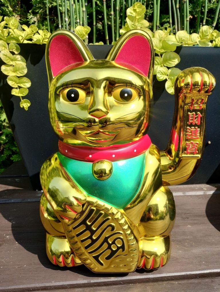 Kot maneki neko XXL