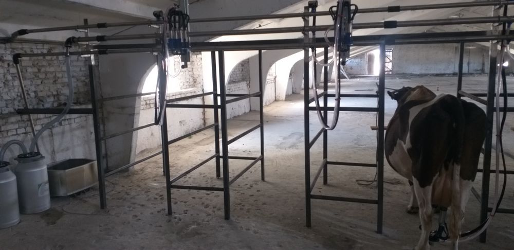 Доїльна установка на 6 корів, доїльний зал,доильная установка Меласти