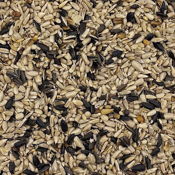 14kg SŁONECZNIK ŁUSKANY 99% ziarno na zimę karma zimowa Champi