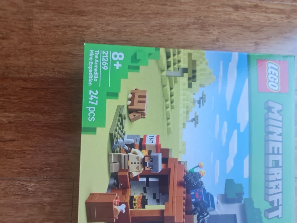 Lego minecraft 21269