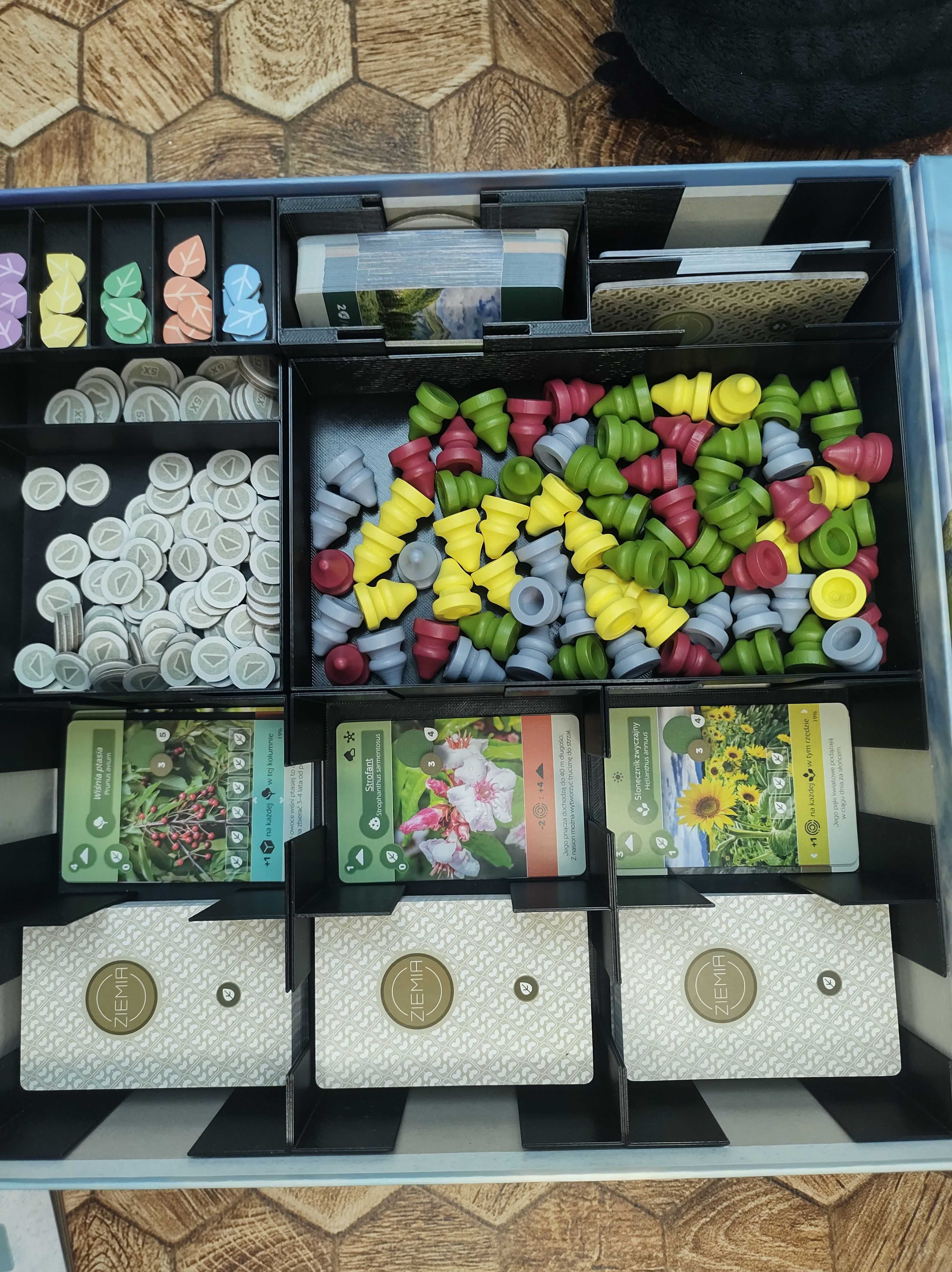Ziemia - Gra planszowa + Insert