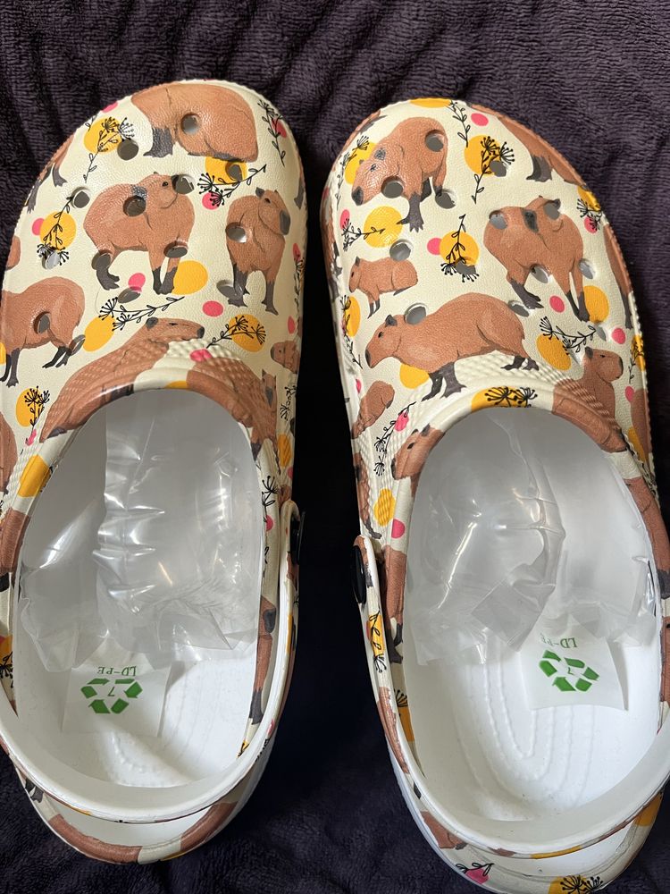 Capybara Crocs