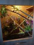 Terrarium, bardzo duże, wymiary całości 200 x 250