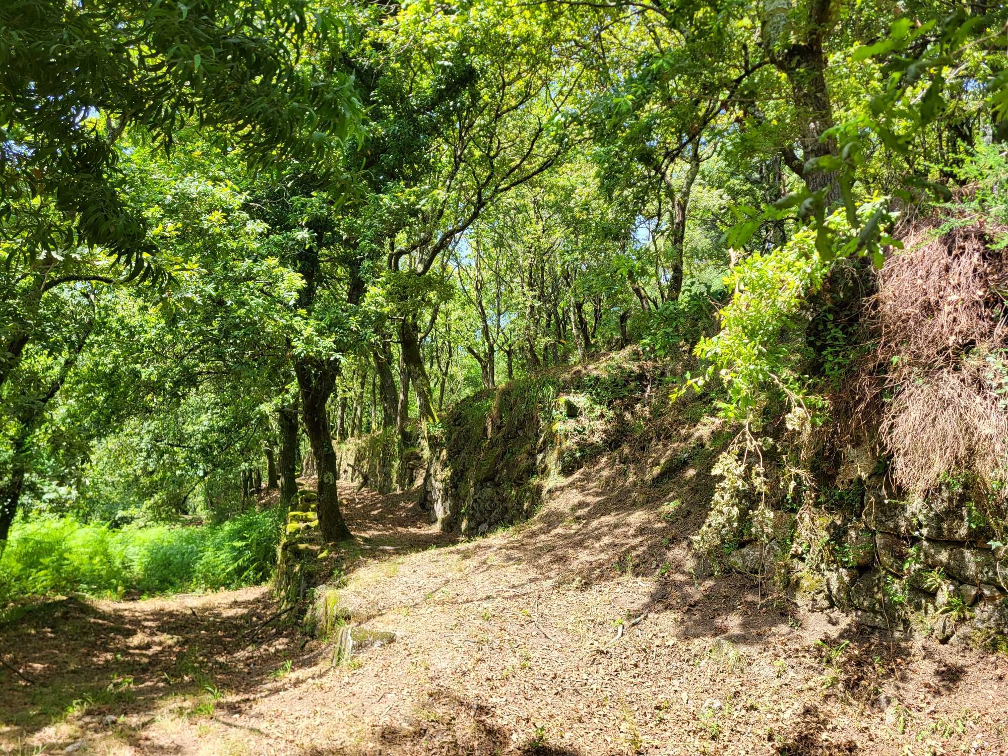 Terreno no Gerês com Ruína e Mina 3 Artigos 8.100m²