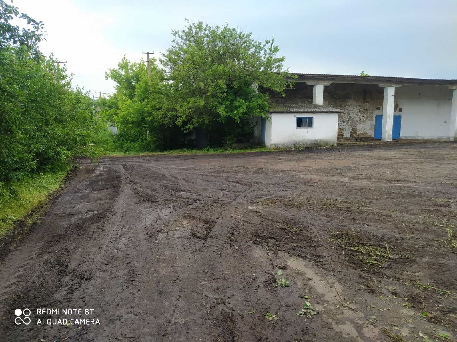 , склад под зернохронилише