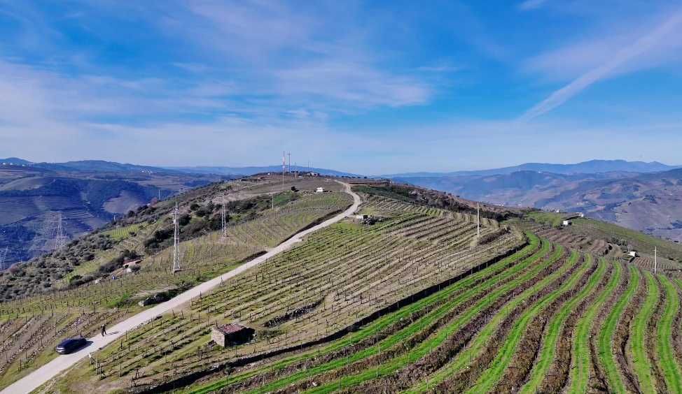 Vende-se terreno rústico em Valença do Douro - Tabuaço