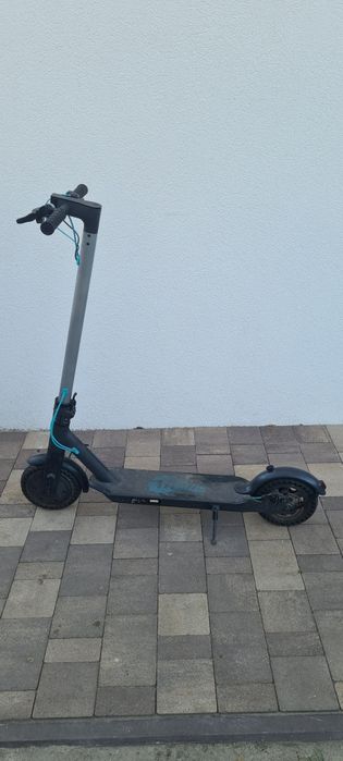 Hulajnoga Motus Scotty 8