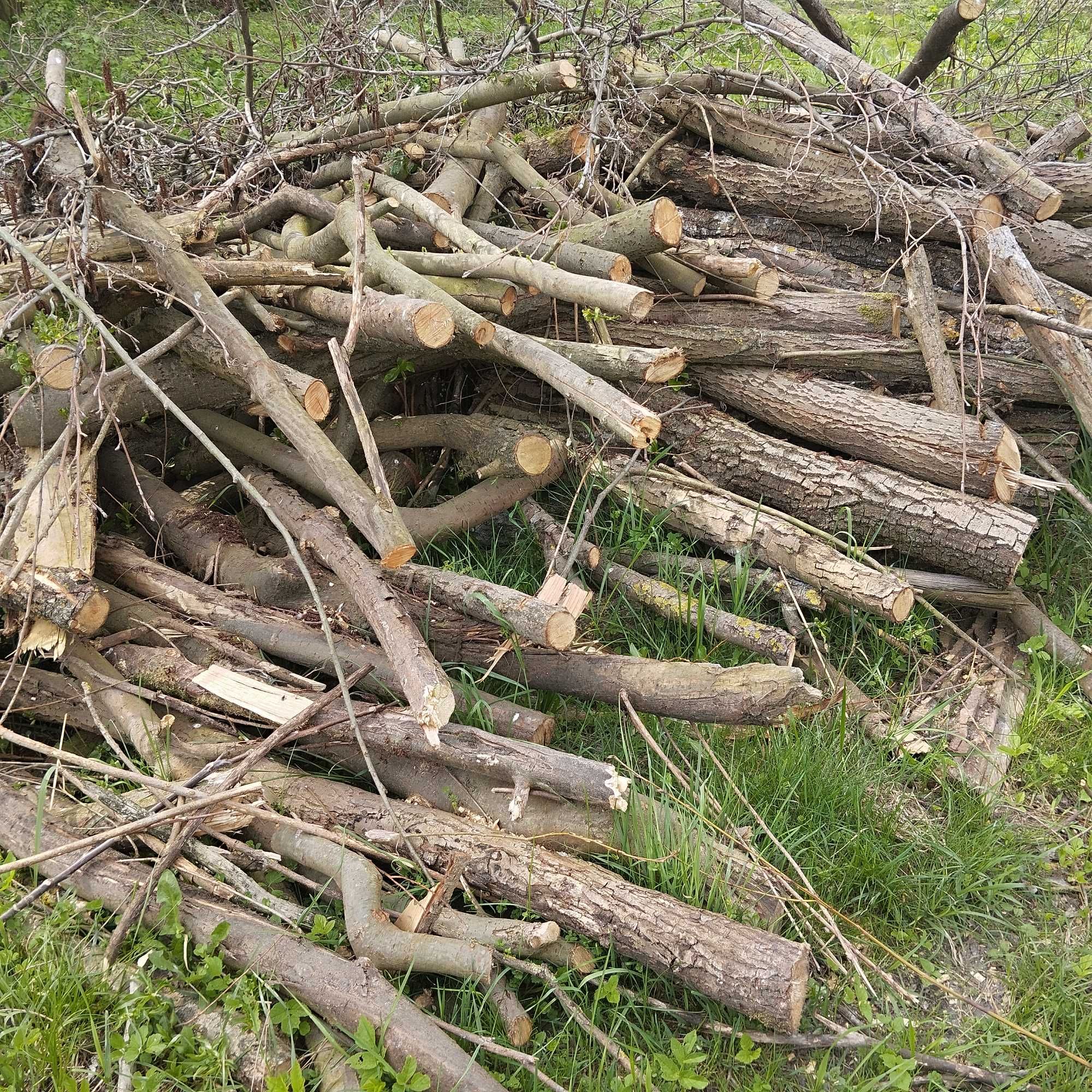 Drzewo opałowe,wierzba sprzedam