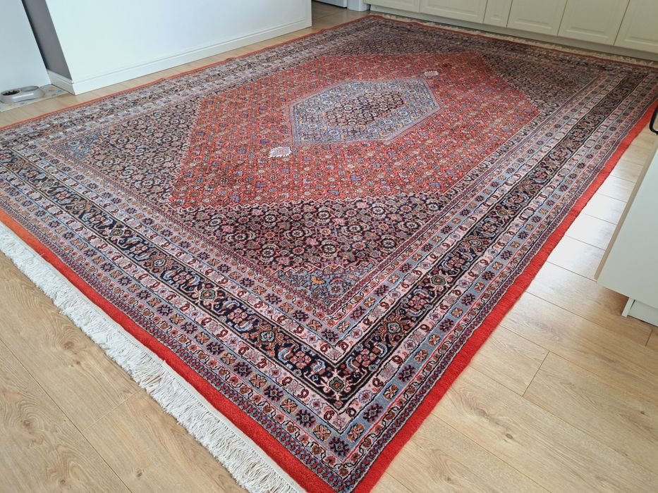 Piękny gabinetowy ręcznie tkany wełniany dywan Bidjar 250x375cm nr1483