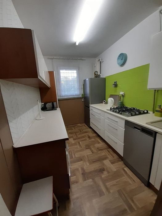 Mieszkanie na Wildzie. Wynajem