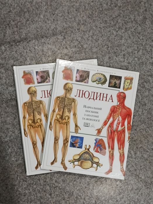 Людина. Атлас анатомії і фізіології. Анатомія людини