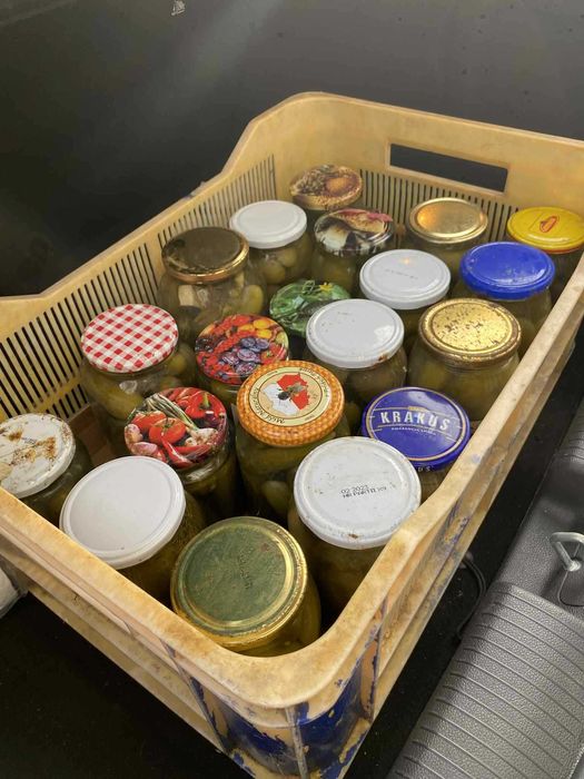 Domowe ogórki kiszone z 2024 własne pole pyszne