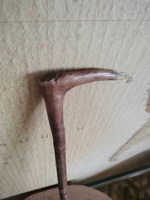 laska dla seniora, laska do wędrówek nr 4