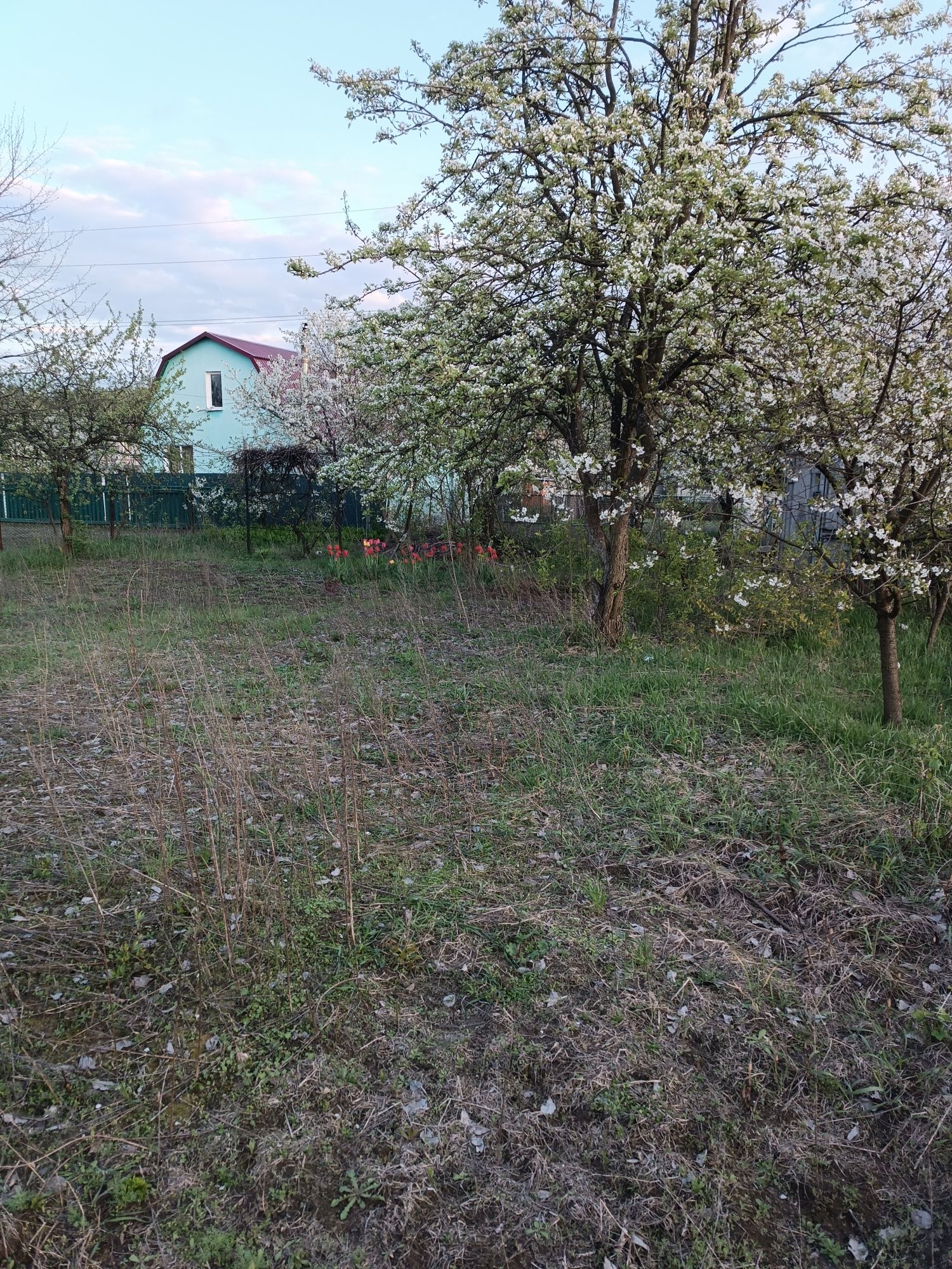 Земельна ділянка, дача