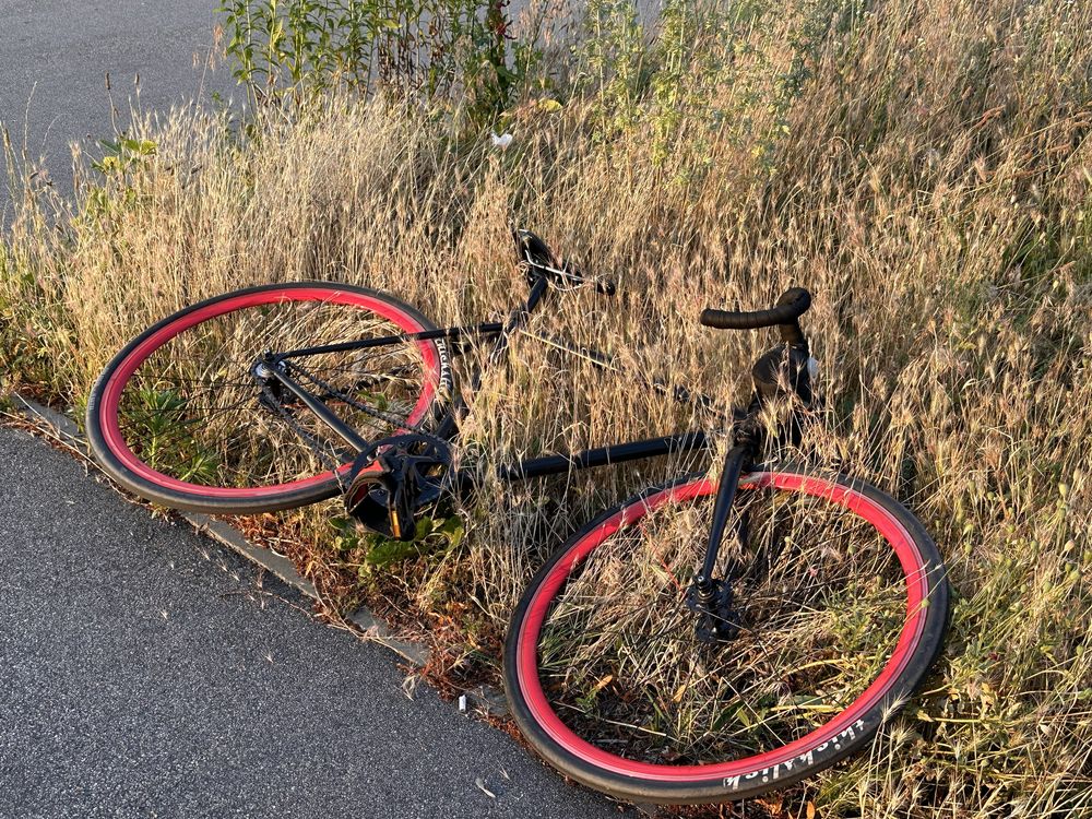 Purefix фікс, сінглспід, fixed gear
