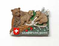 BERNO BARENPARK NIEDŹWIEDZIE Szwajcaria Magnes na lodówkę  C417