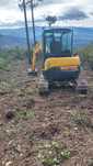 Mini Giratoria Yanmar VIO55