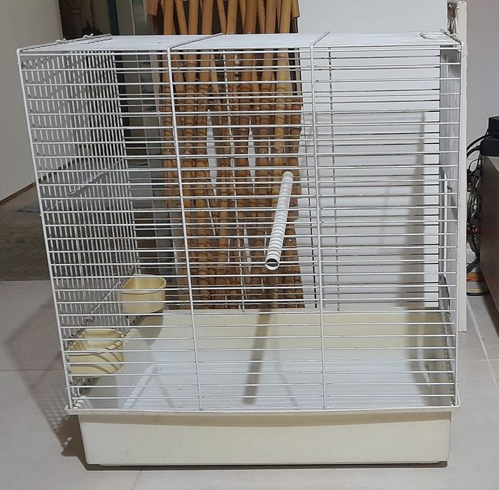 Gaiola passaro grande