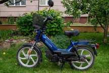 Tomas Standard 50
