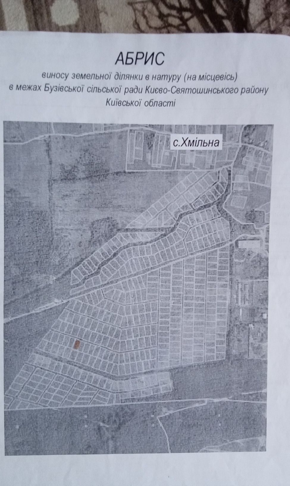 Ділянка в садовому трваристві