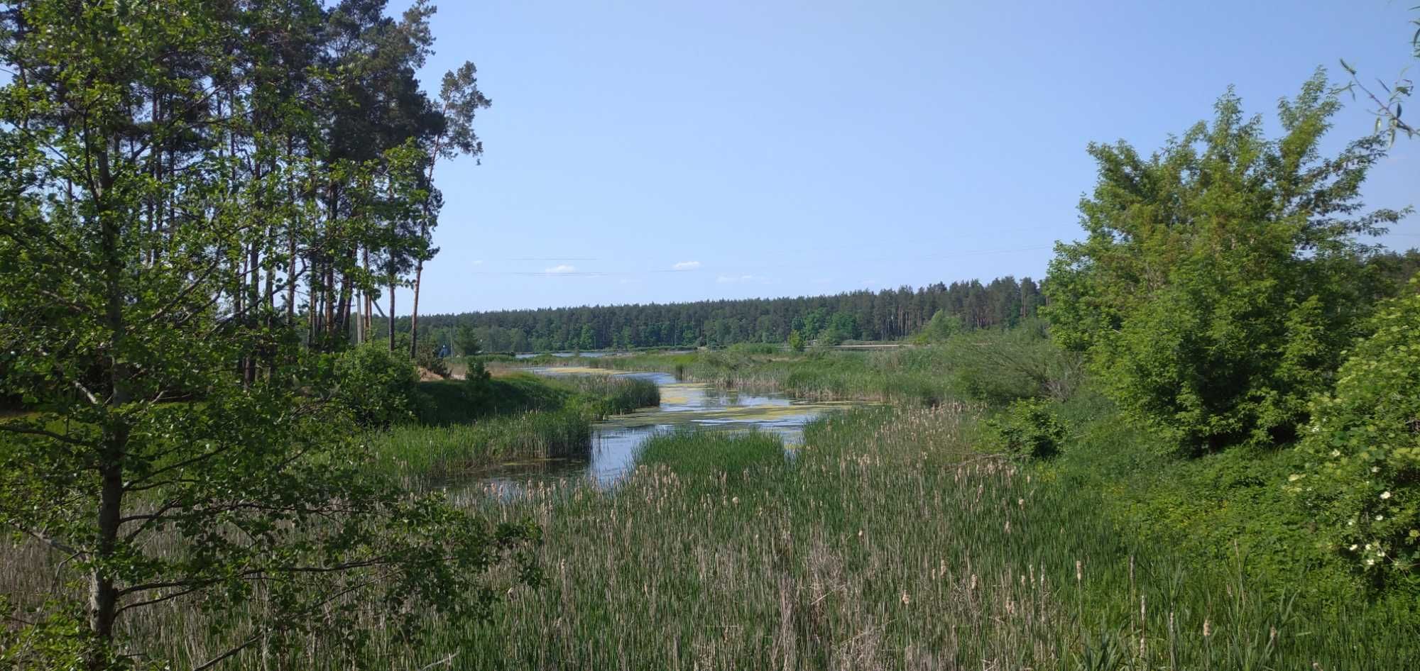 Дачний будинок з ділянкою в с.Веприк, фастівського р-ну.