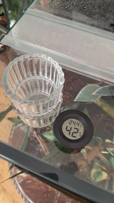 Terrarium 40x40x60 okazja gekon orzęsiony pełne wyposażenie