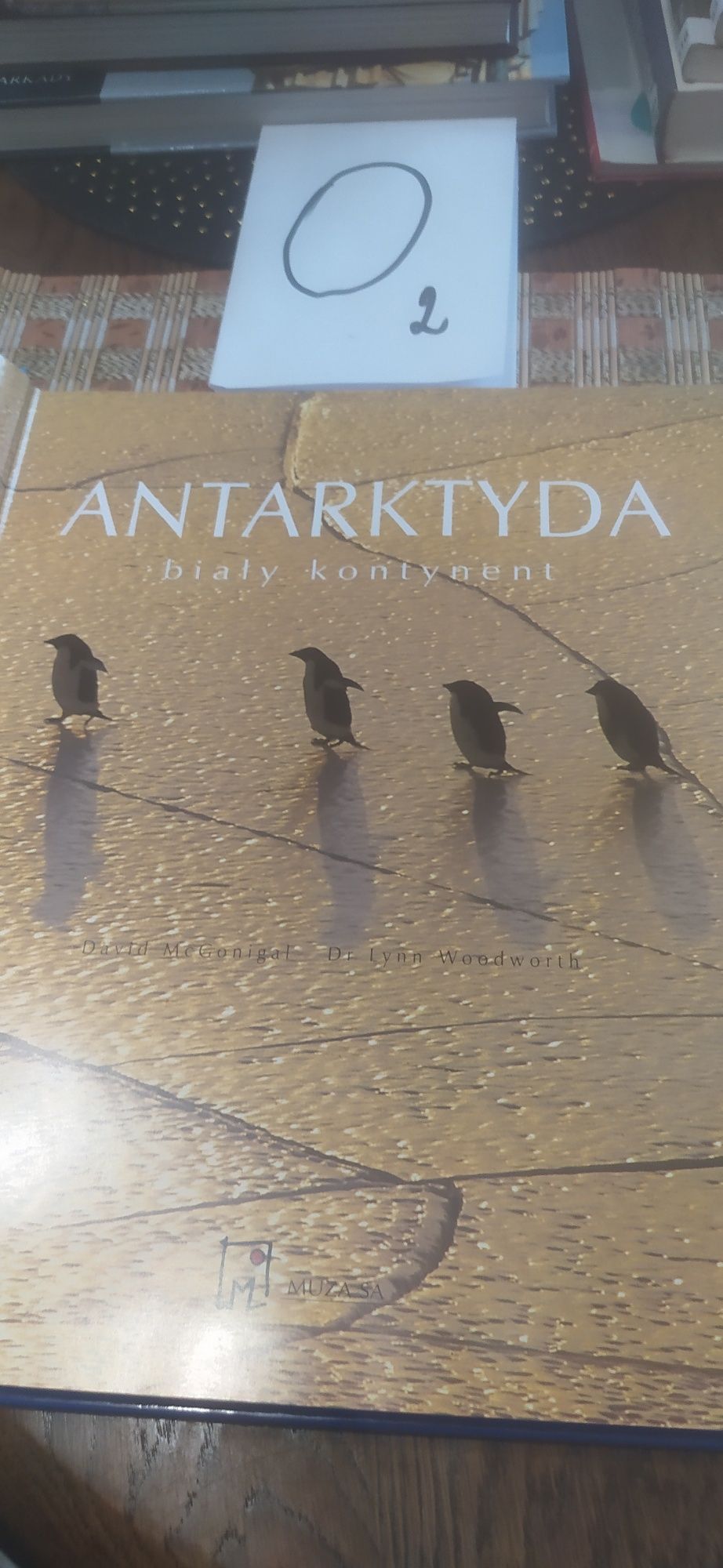 Antarktyda biały kontynent David Mcgonigal