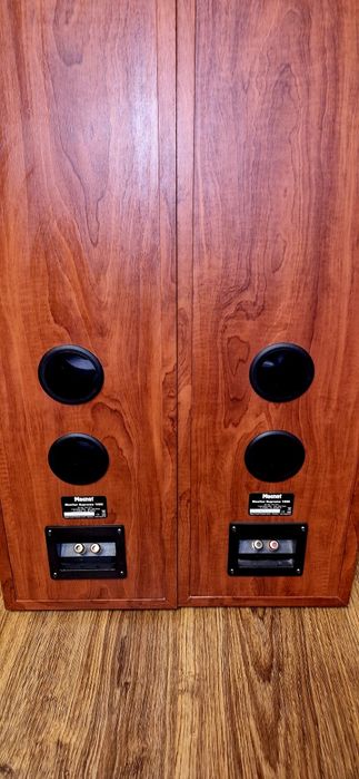 Kolumny Magnat Monitor Supreme 1000