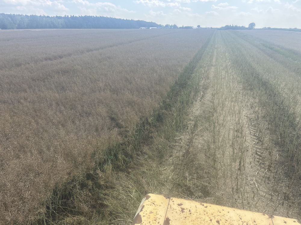 Kombajn zbozowy new hollad TX64  claas