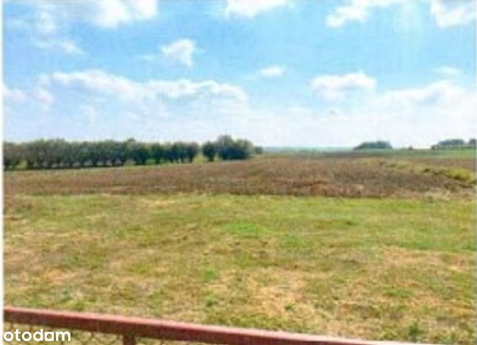 Działka, Marcinkowice