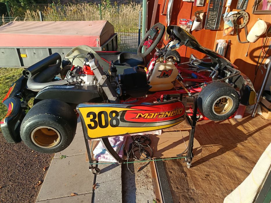 Gokart, kart, karting Rotax