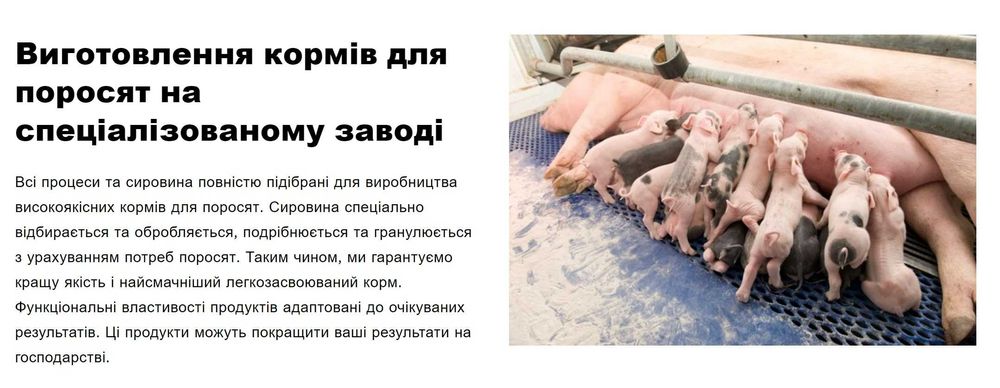 Престартер для поросят з 14 дня Коудайс (Koudijs) від 10кг живої ваги